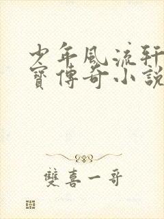少年风流轩辕大宝传奇小说