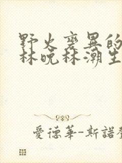野火变异的父爱林晚林潮生
