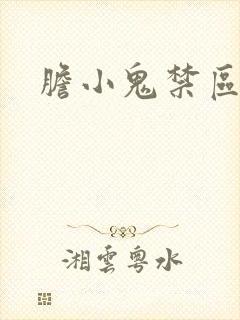 胆小鬼禁区