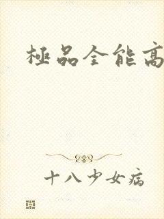 极品全能高手