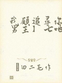 我愿追寻你【双男主】 七吔封面