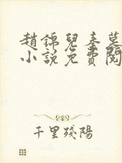 赵锦儿秦慕修的小说免费阅读全文