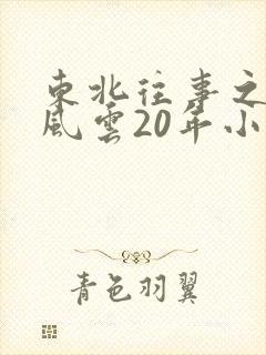 东北往事之黑道风云20年小说