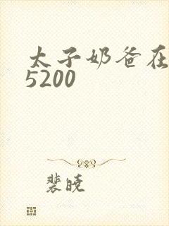 太子奶爸在花都5200