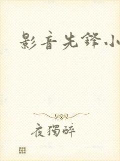 影音先锋小说