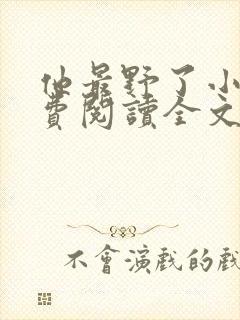 他最野了小说免费阅读全文封面