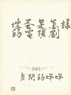 坏蛋是怎样炼成的电视剧