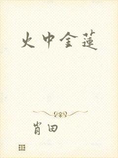 火中金莲封面