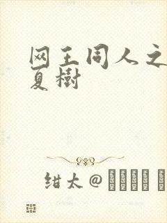网王同人之桃生夏树