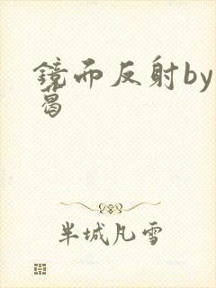 镜面反射by九葛封面