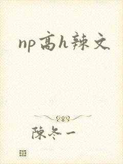 np高h辣文