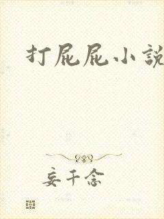 打屁屁小说