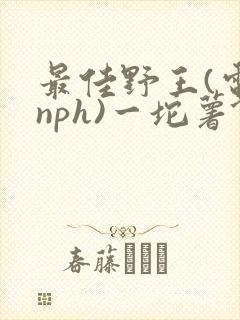 最佳野王(电竞nph)一坨薯饼