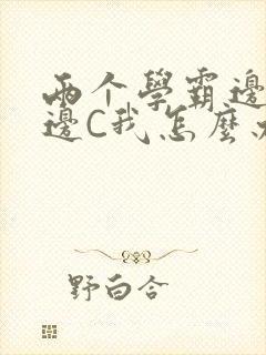 两个学霸边做题边C我怎么办封面