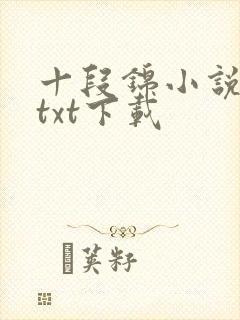 十段锦小说全本txt下载