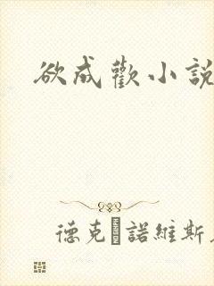欲成欢小说封面