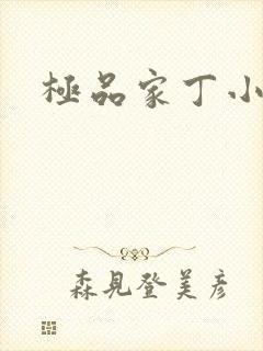 极品家丁小说