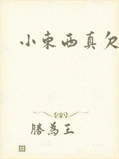 小东西真欠弄