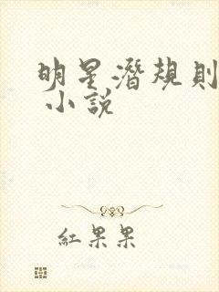 明星潜规则之皇 小说封面