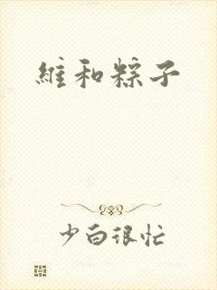 维和粽子