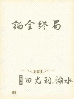 铂金终局