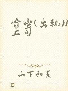 偷吃(出轨)h上司