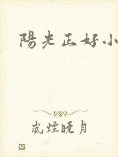阳光正好小说