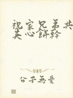 祝家兄弟共享后夹心饼干封面