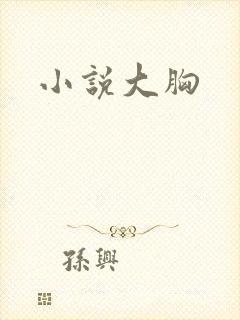 小说大胸
