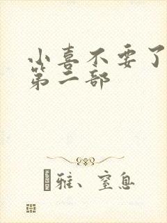 小喜不要了好大第二部封面