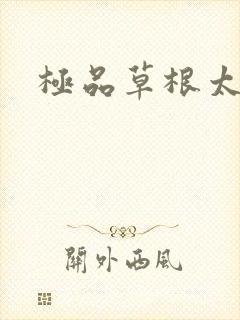 极品草根太子