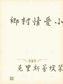 乡村情爱小说