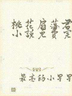 桃花扇落君不还小说免费完整版