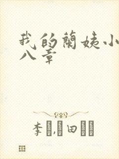 我的兰姨小说第八章封面