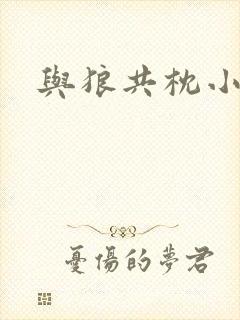 与狼共枕小说