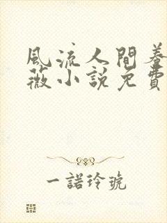 风流人间养父采薇小说免费笔趣阁封面
