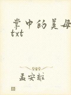 掌中的美母版主txt
