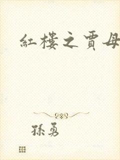 红楼之贾母