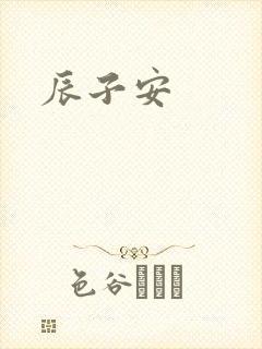辰子安封面