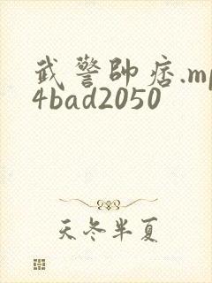 武警帅痞.mp4bad2050