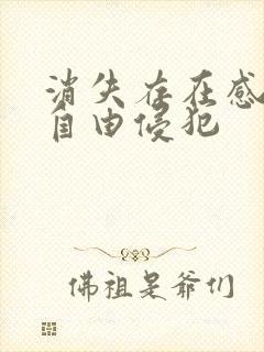 消失存在感消失自由侵犯