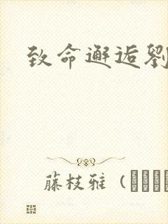 致命邂逅刘小寐