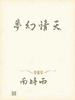 梦幻情天封面