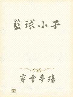 篮球小子封面