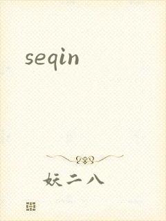 seqin封面