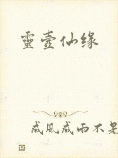 灵壶仙缘封面