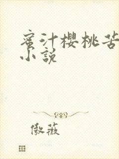蜜汁樱桃苦咖啡小说