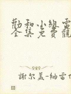 劝和小组电视剧全集免费观看封面
