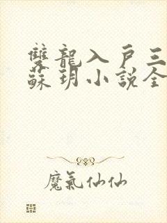 双龙入户三人行苏玥小说全文阅读
