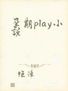 孕期play小说封面